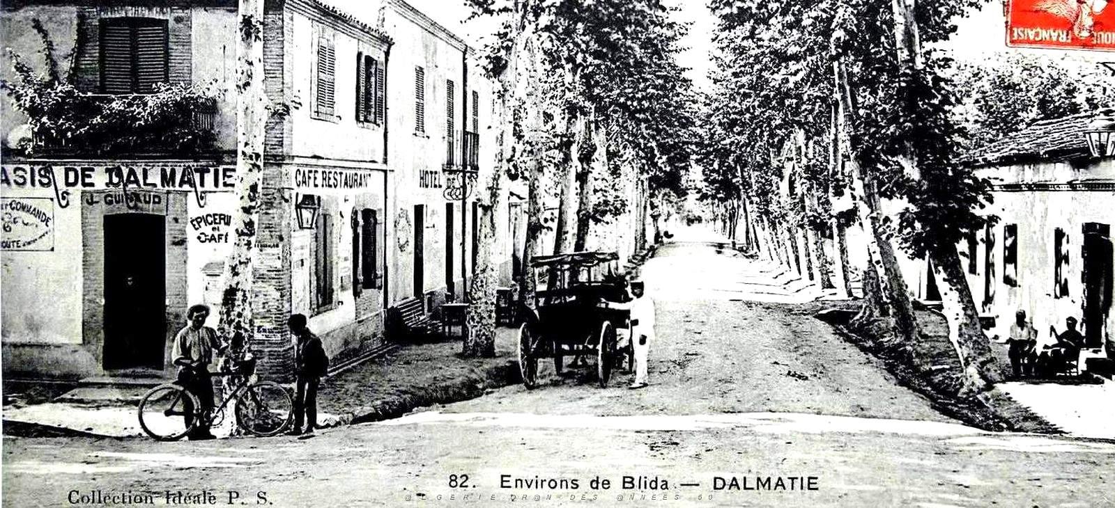 1323- Dalmatie - Environs2 de Blida.jpg